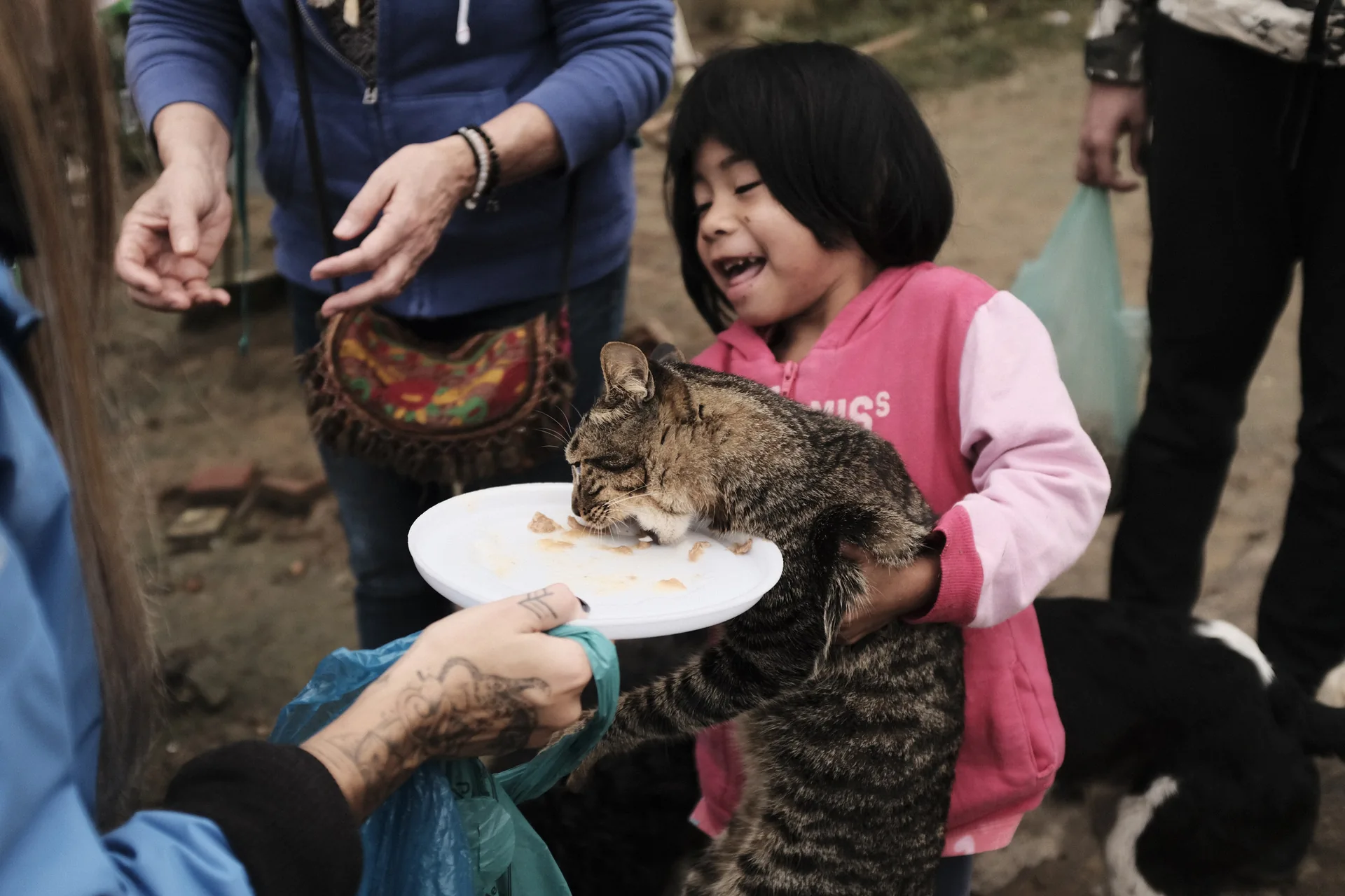 Criança indígena com um gato durante os cuidados da equipe.