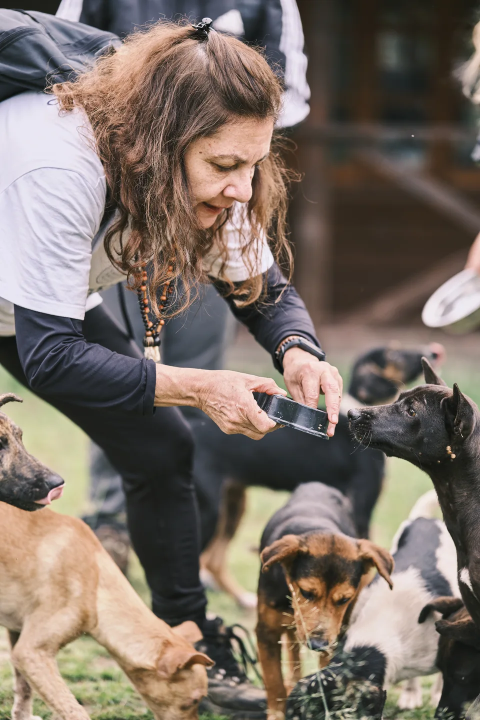 Voluntária cuida de cães durante uma ação na aldeia.