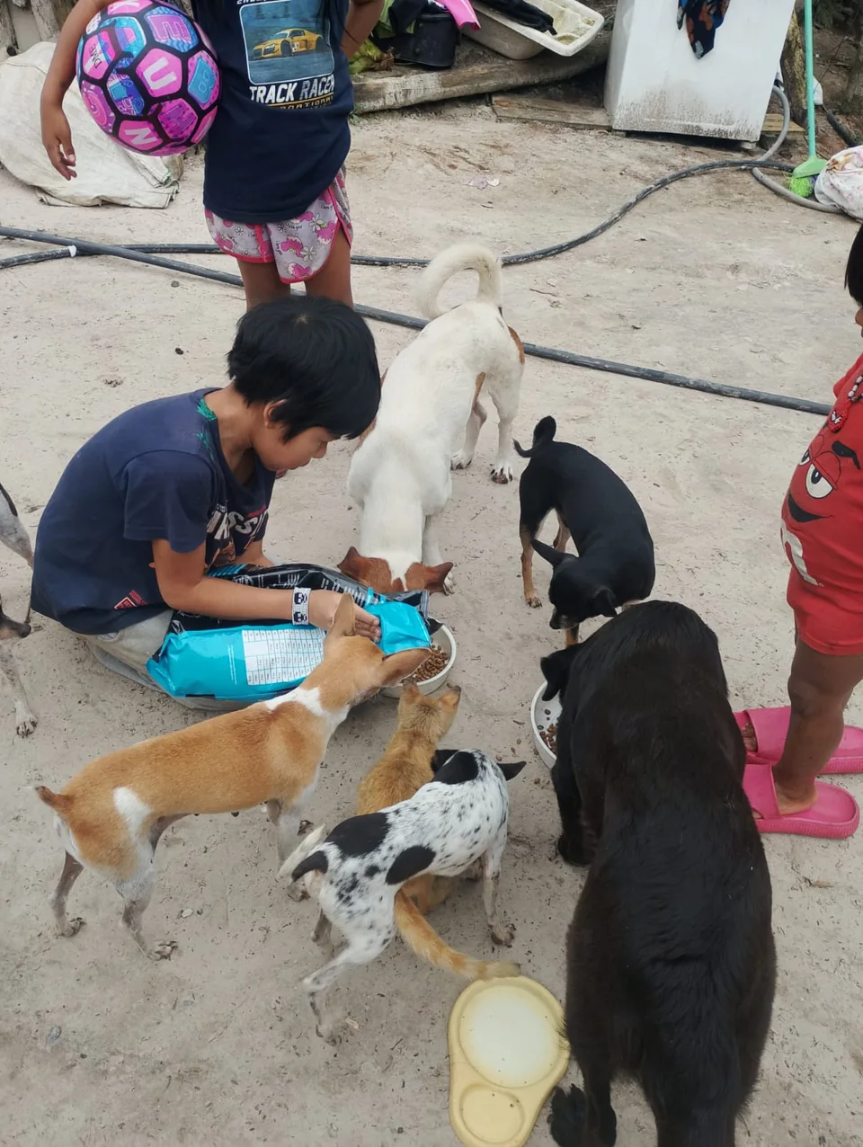 Criança participa da alimentação dos cães da comunidade.