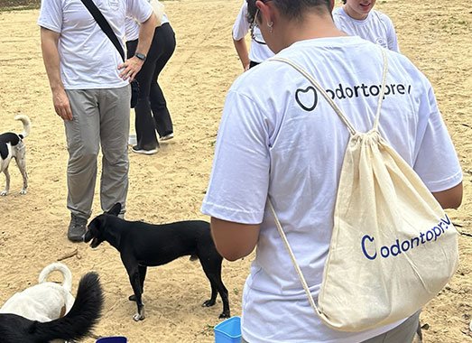 Case Odontoprev Natal 2024